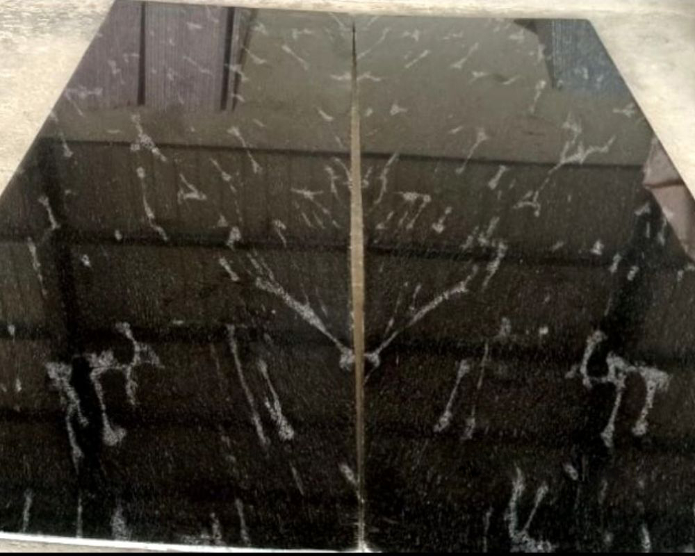 Fish Black Granite Fish Black Granite